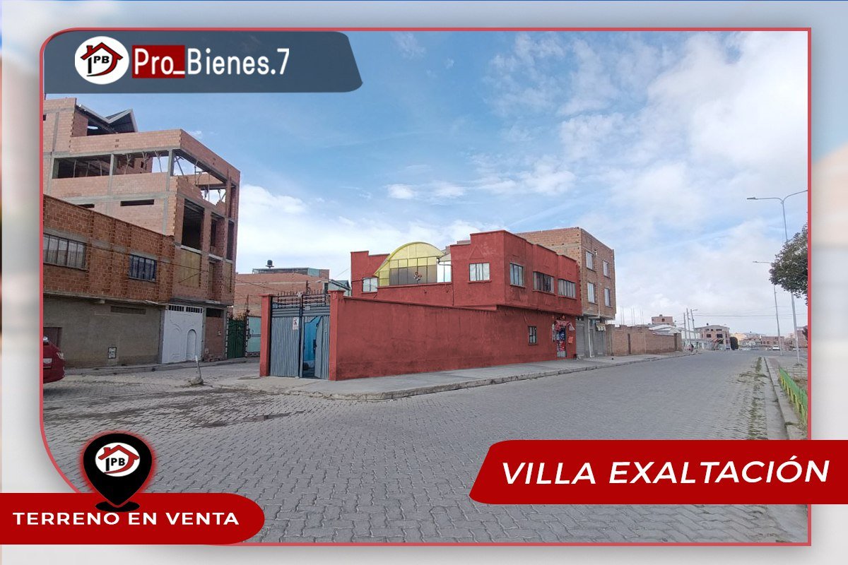 photo_5030737426674462164_y (1)